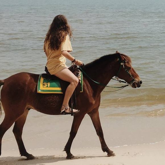 Meet your Posher, Levie - Picture 1 of 1